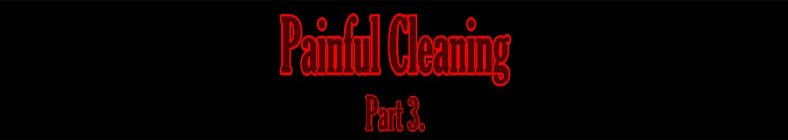 Tina & Nicole - Painful Cleaning (part 3)