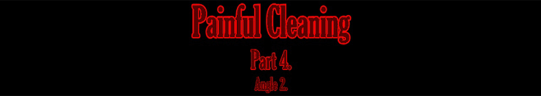 Nicole & Tina - Painful Cleaning (part 4 - angle 2)
